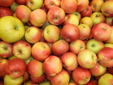 demet taze kırmızı elmalar