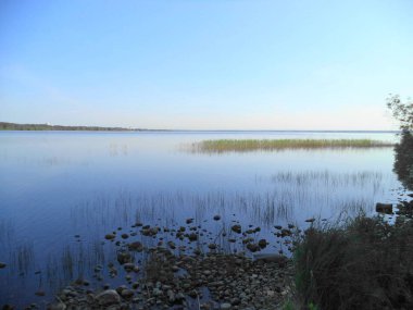 pitoresk bir gölün kıyısında yaz sabahı