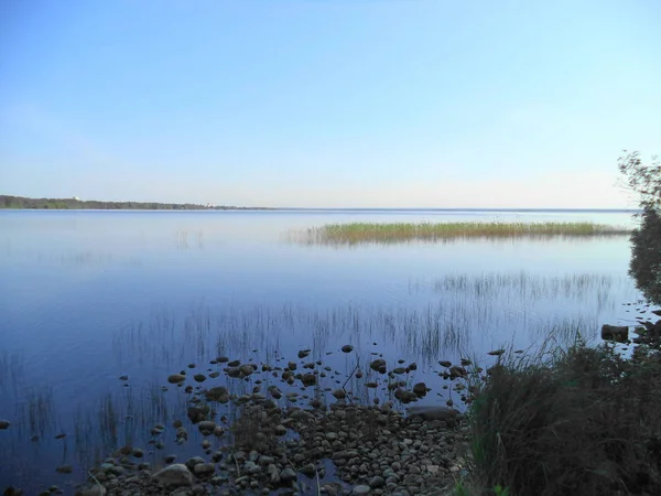 Літній Ранок Березі Мальовничого Озера — стокове фото