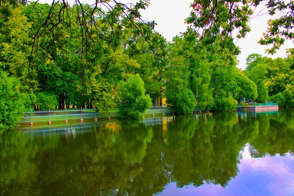 Teich Park Mit Bäumen Und Büschen Ufer — Stockfoto