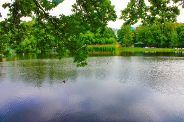 yaz aylarında şehir Park güzel gölet