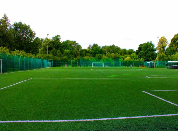 Campo Fútbol Con Césped Verde Parque Fotos De Stock