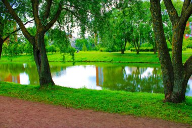 Gölet yaz şehir parkında