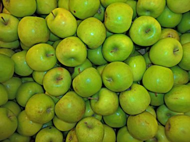 Yeni hasat taze olgun yeşil elma yığını