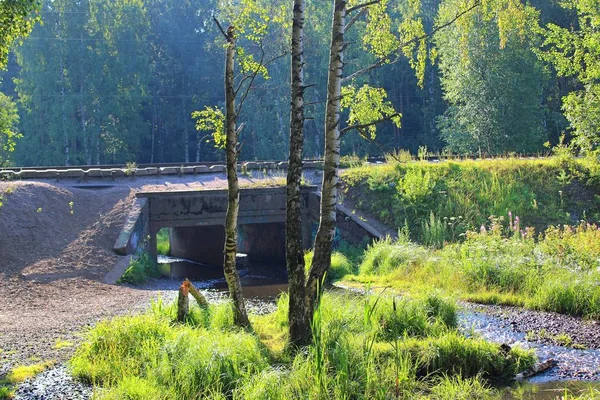 the stream flows under a small bridge in the forest