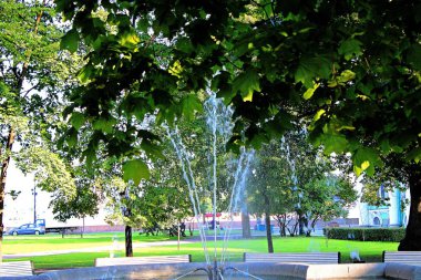 ağaçların yeşil yaprakları ile çeşme görünümü