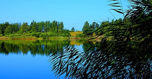 Vista Del Lago Arbusto Costero — Foto de Stock