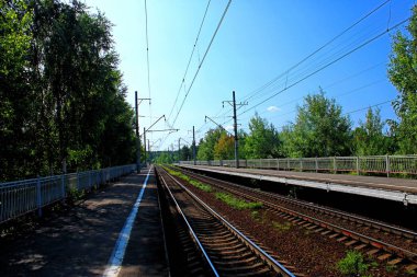 orman yeşil alanında boş tren platformu