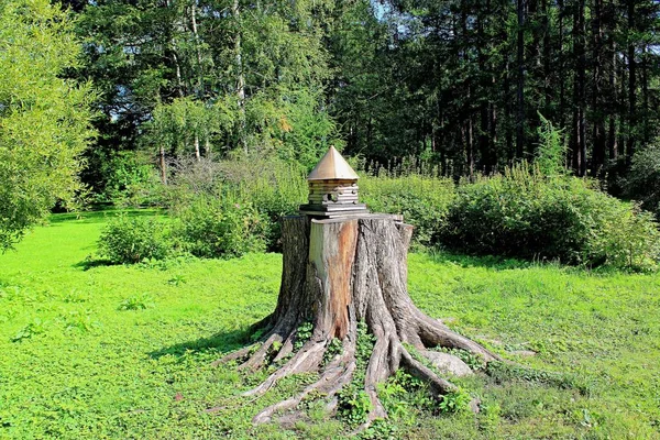 Casa Scoiattoli Ceppo Asciutto Tra Vegetazione Verde — Foto Stock