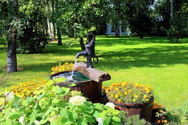 çiçeklerle sütun yakınında su kova