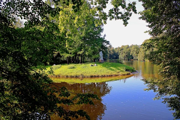 Vista Lagoa Parque Através Vegetação Verde — Fotografia de Stock