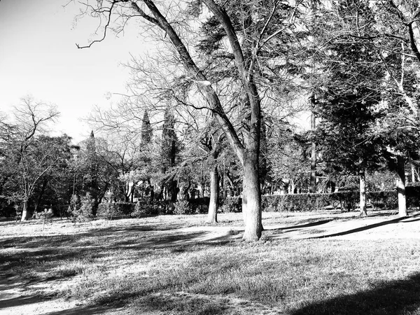 Primavera della giornata al sole nel parco cittadino di Tbilisi, Georgia — Foto Stock