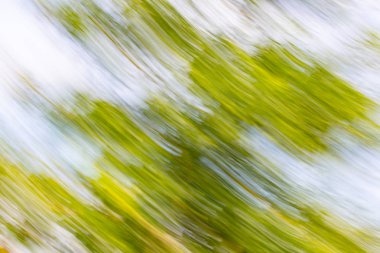 Soyut hareket bulanıklığı etkisi. Bulanık ağaç bahar