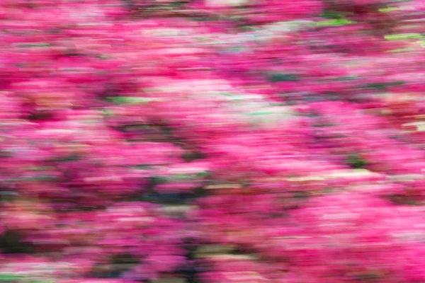 Abstrakte Bewegungsunschärfewirkung. Frühling verschwommene Blumen — Stockfoto