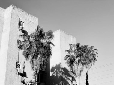 Rishon Le Zion, İsrail-23 Nisan 2018: yüksek konut bina Rishon Le Zion, İsrail.