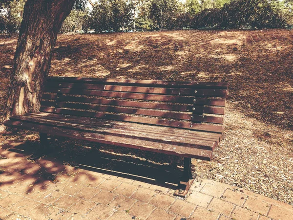 Mooi bankje in het park. Zonnige lente. — Stockfoto