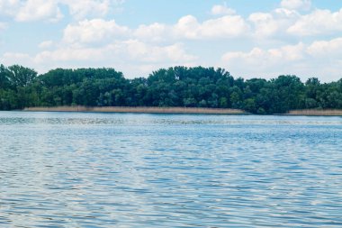 Bahar Manzara Doğa bir tür. Güzel nehir kenarında renkli doğa.