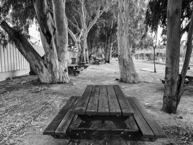 Park ahşap sandalye ahşap masa