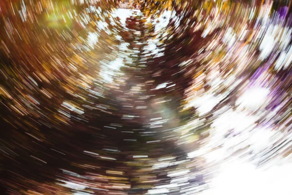 Abstract motion blur effect. Spring blurred tree