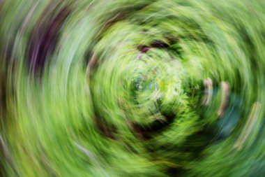 Soyut hareket bulanıklığı etkisi. Bulanık çiçekler bahar