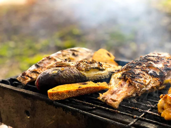 Fisch auf einem Grill über heißer Kohle zubereiten. Nahaufnahme — Stockfoto