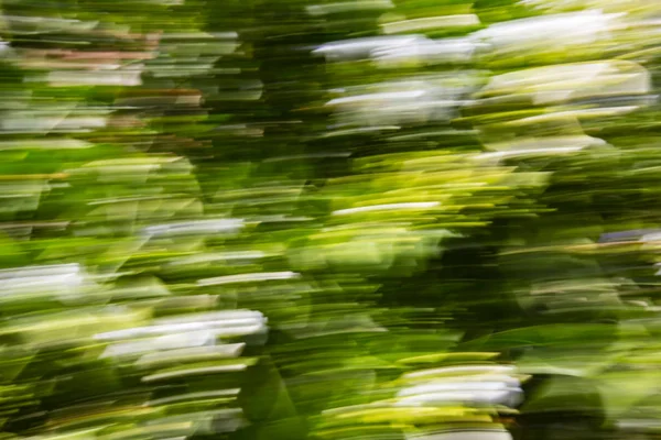 Abstrakte Bewegungsunschärfewirkung. Frühling verschwommene Blumen — Stockfoto