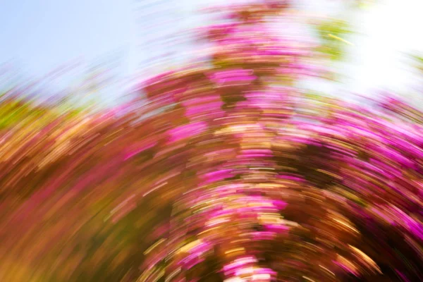 Abstracte Bewegingsvervaging effect. Lente wazig bloemen — Stockfoto