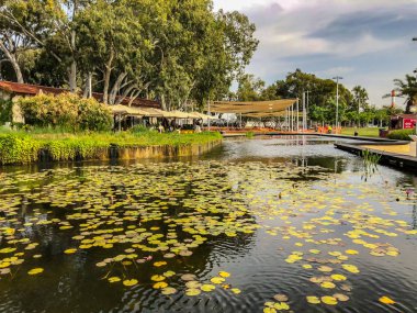 Rishon Le Zion, İsrail - 30 Nisan 2018: Pitoresk göl desteklemek Rishon Le Zion.