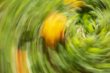 Soyut hareket bulanıklığı etkisi. Bulanık çiçekler bahar.