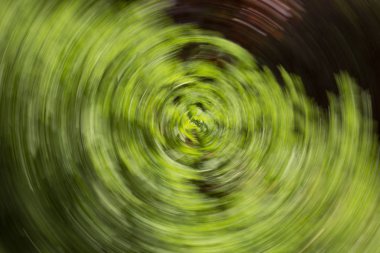 Soyut hareket bulanıklığı etkisi. Bulanık çiçekler bahar.