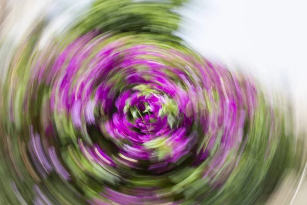 Abstract motion blur effect. Spring blurred flowers.