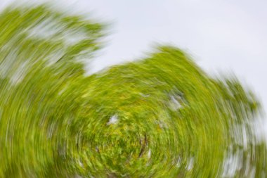 Soyut hareket bulanıklığı etkisi. Bulanık çiçekler bahar.