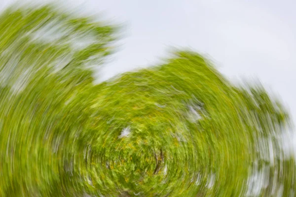 Efeito abstrato de borrão de movimento. Flores borradas de primavera . — Fotografia de Stock