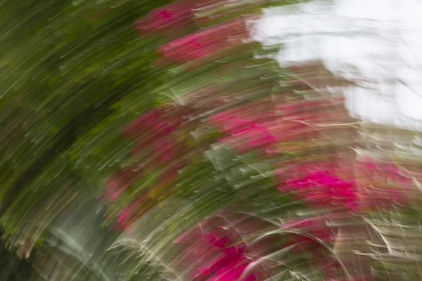 Abstrakte Bewegungsunschärfewirkung. Frühling verschwommene Blumen. — Stockfoto