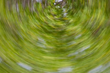 Soyut hareket bulanıklığı etkisi. Bulanık çiçekler bahar.