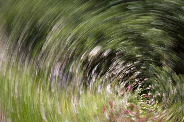Abstracte Bewegingsvervaging effect. Lente wazig bloemen. — Stockfoto
