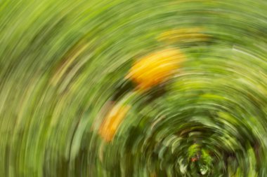 Soyut hareket bulanıklığı etkisi. Bulanık çiçekler bahar.