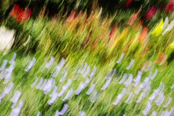Abstract motion blur effect. Spring blurred flowers
