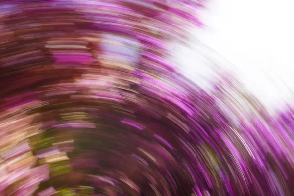 Abstract motion blur effect. Spring blurred flowers