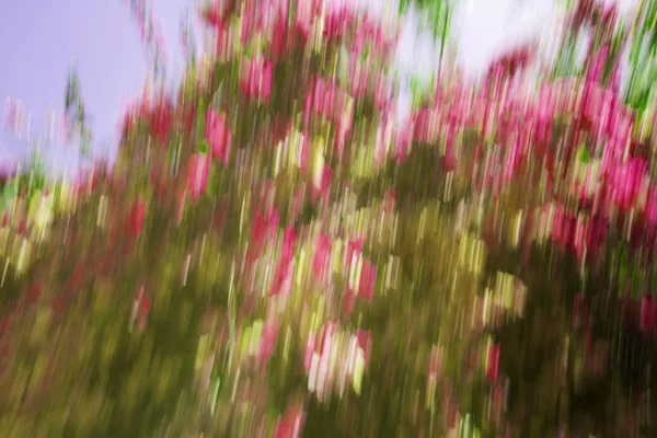 Abstracte Bewegingsvervaging effect. Lente wazig bloemen — Stockfoto