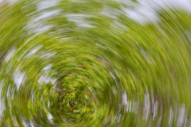 Soyut hareket bulanıklığı etkisi. Bulanık çiçekler bahar.