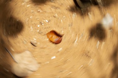 Yerde yatan düşmüş yaprakları. Soyut hareket bulanıklığı etkisi. 