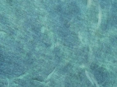 Soyut hareket bulanıklığı etkisi. Bulanık bahar yaprakları