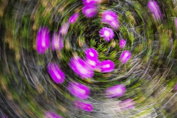 Abstract motion blur effect. Spring blurred flowers — Stock Photo, Image