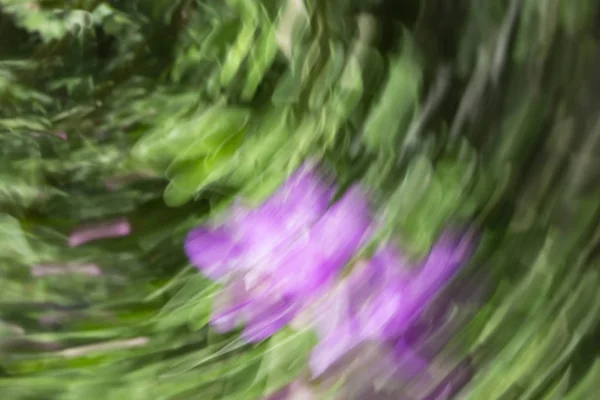 Abstrakte Bewegungsunschärfewirkung Frühling Verschwommene Blumen — Stockfoto