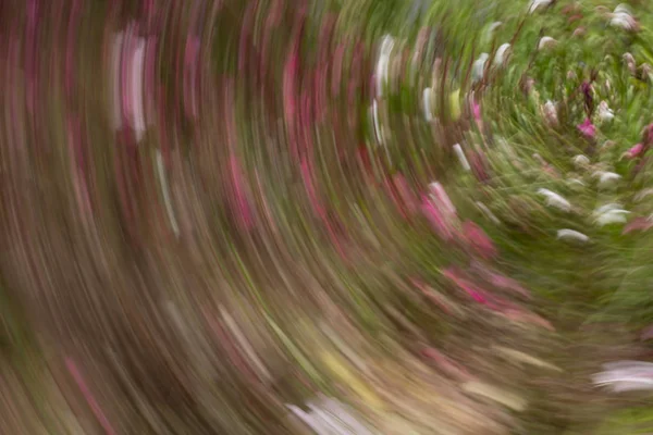 Abstrakte Bewegungsunschärfewirkung. Frühling verschwommene Blumen. — Stockfoto