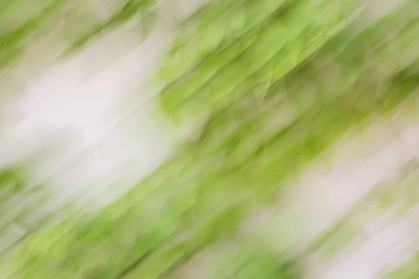 Abstract motion blur effect. Spring blurred leaves