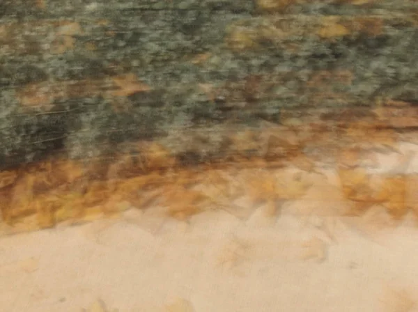 Πεσμένα φύλλα που κείτονταν στο έδαφος. Αφηρημένη motion blur επίδραση — Φωτογραφία Αρχείου