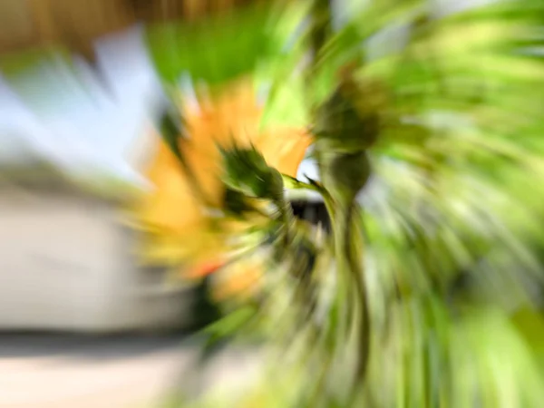 Frühling verschwommene Blumen. abstrakte Bewegungsunschärfe. — Stockfoto