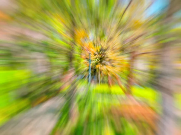 Spring blurred trees. Abstract motion blur effect.